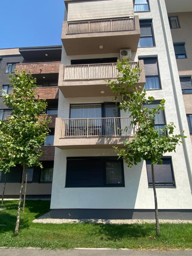 Good Vibes Apartment Oradea Bagian luar foto